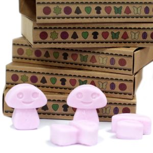Gift Set of 6 Wax Melts - Ylang Ylang